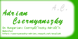 adrian csernyanszky business card